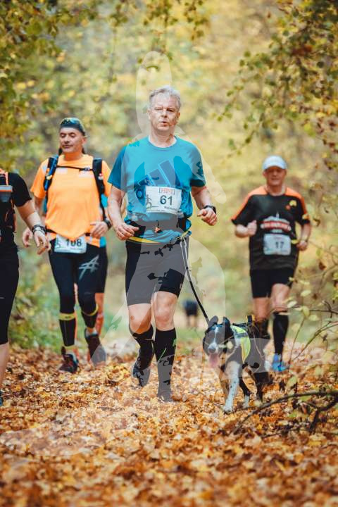 Altmühltrail 2017