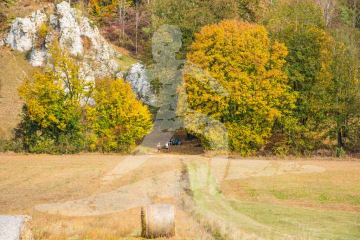 Altmühltrail 2018