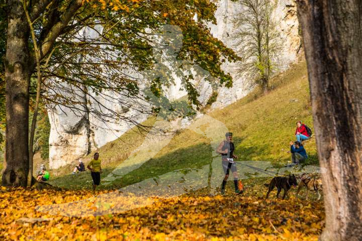 Altmühltrail 2018