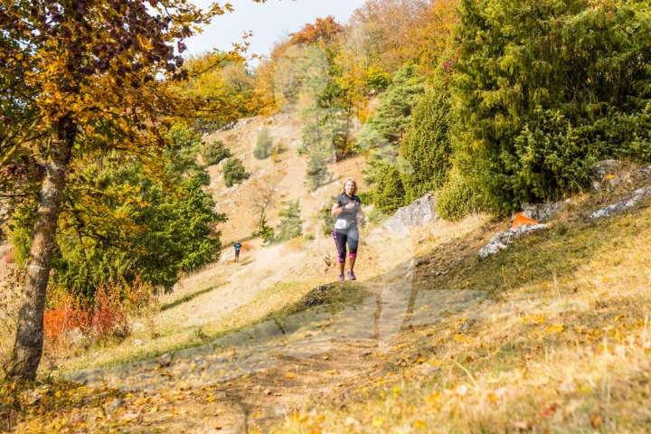 Altmühltrail 2018