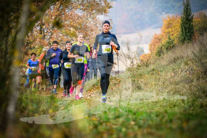 Altmühltrail 2018