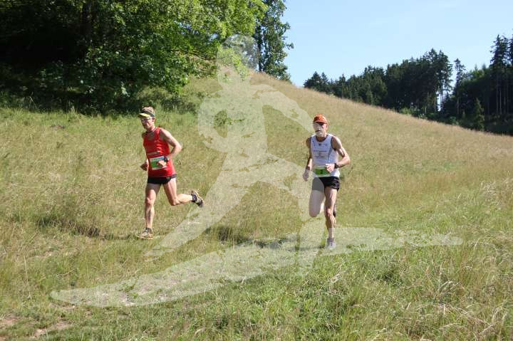 Altmühltrail 2014
