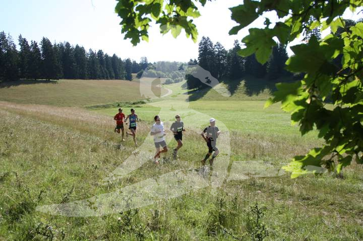 Altmühltrail 2014