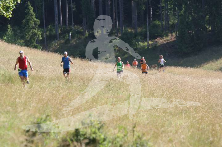 Altmühltrail 2014