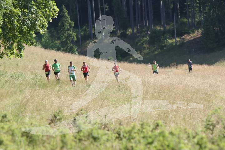 Altmühltrail 2014