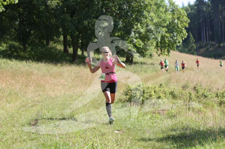 Altmühltrail 2014