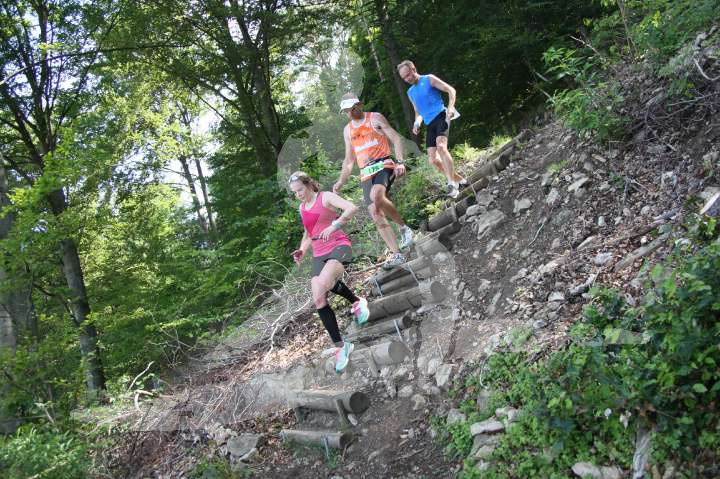 Altmühltrail 2014