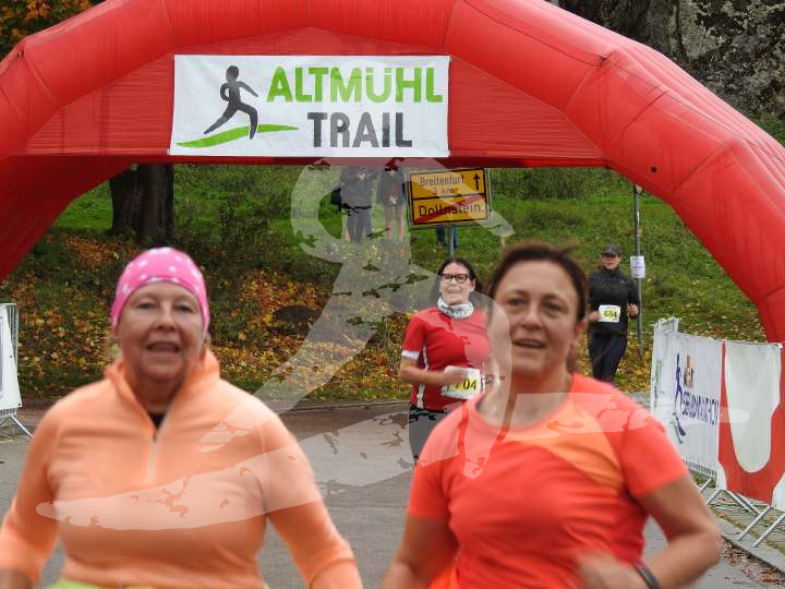 AMT 2019