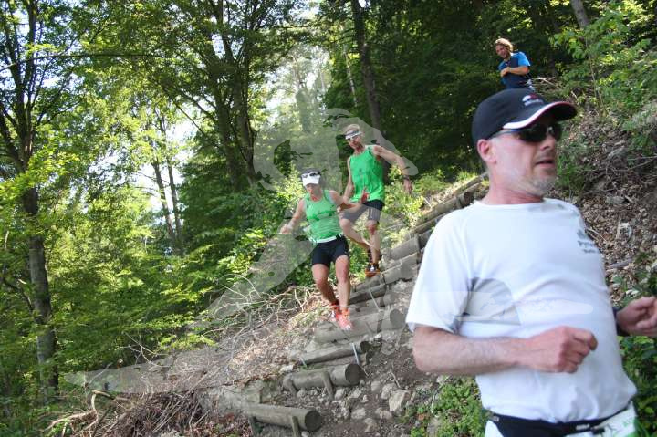 Altmühltrail 2014