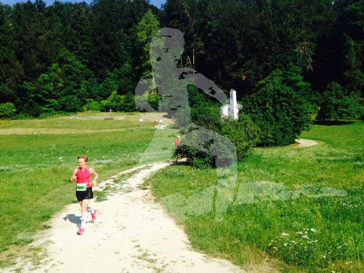 Altmühltrail 2014