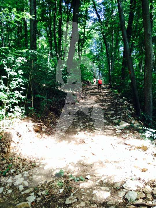 Altmühltrail 2014