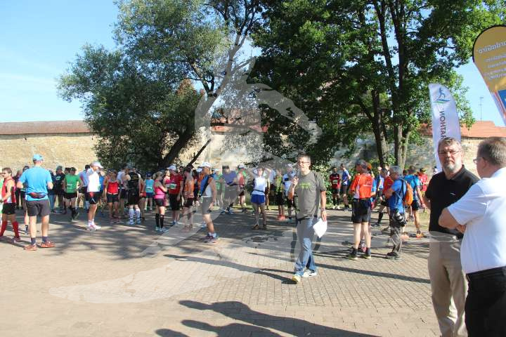 Altmühltrail 2014