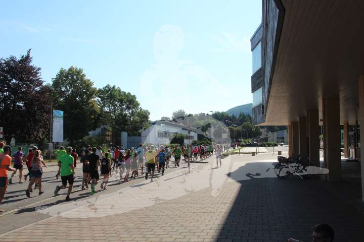 Altmühltrail 2014