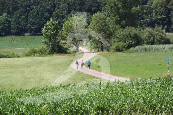 Altmühltrail 2014
