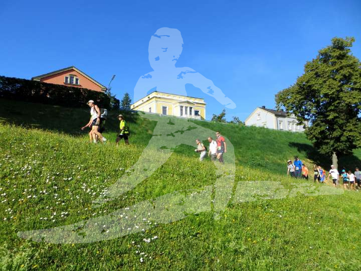 Altmühltrail 2014