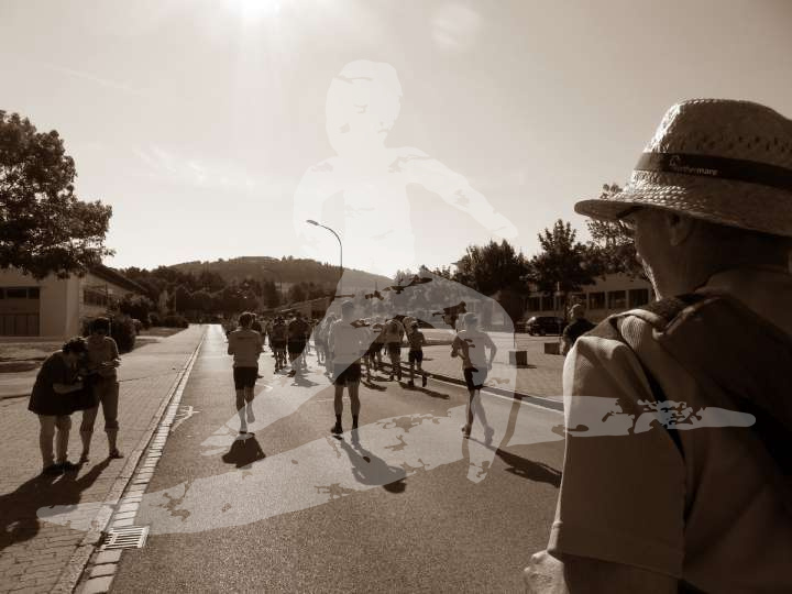 Altmühltrail 2014