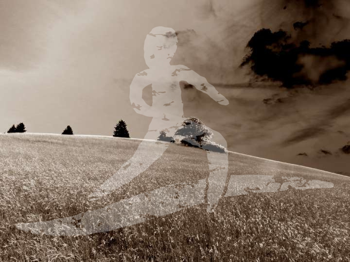 Altmühltrail 2014