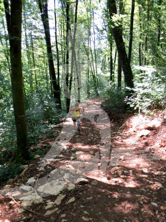Altmühltrail 2014
