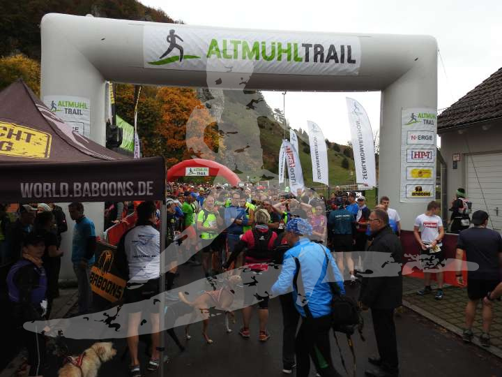AMT 2019