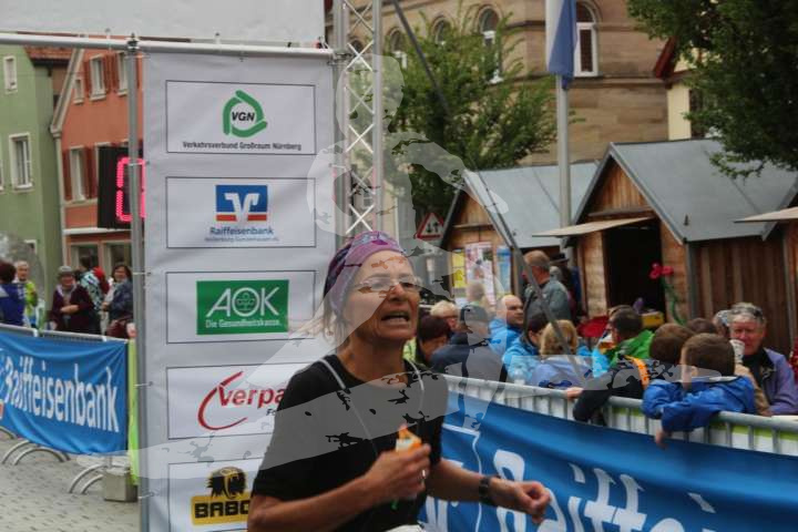 Altmühltrail 2015 - Samstag Heidenheim - Gunzenhausen_63