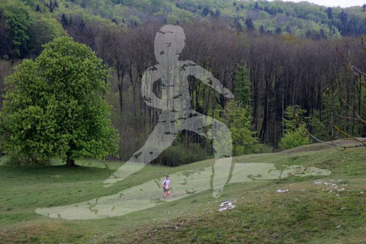 Altmühltrail 2015 - Streckenbilder Samstag und Sonntag_5