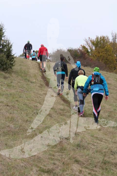 Altmühltrail 2016_113