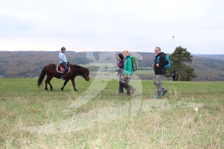 Altmühltrail 2016_119