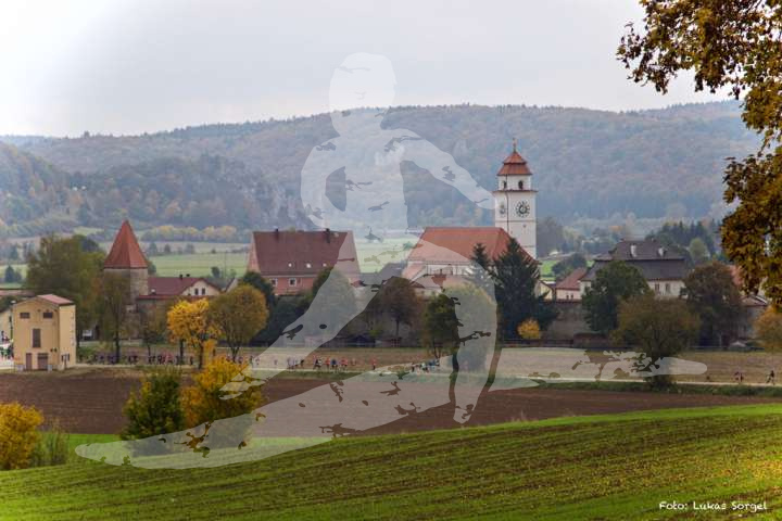 Altmühltrail 2016_400