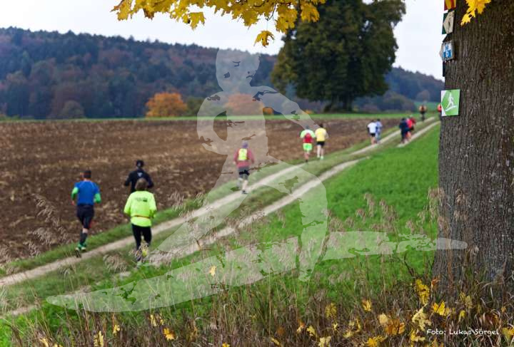 Altmühltrail 2016_402