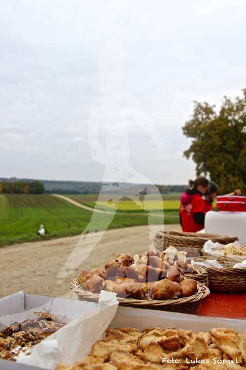 Altmühltrail 2016_408