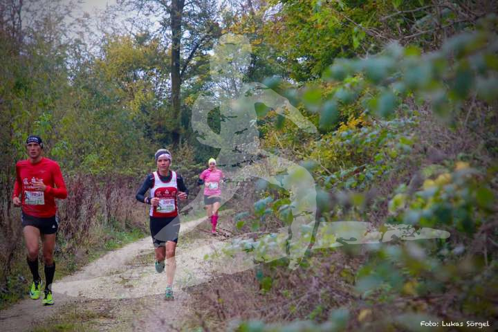 Altmühltrail 2016_412