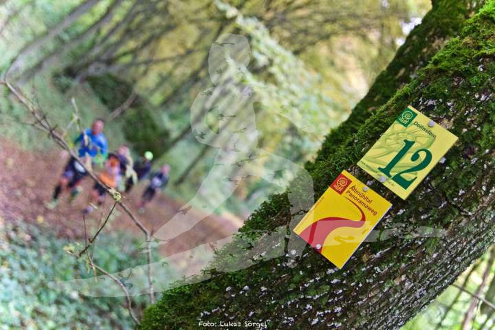 Altmühltrail 2016_414
