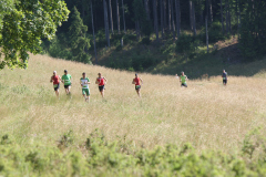 altmuehltrail_2014_20140707_1014558147