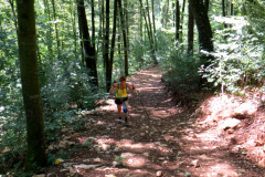 altmuehltrail_2014_20140707_1018389036