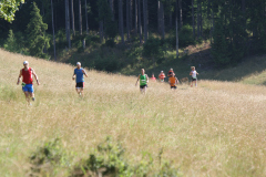 altmuehltrail_2014_20140707_1033480772