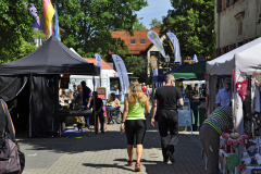 altmuehltrail_2014_20140707_1122357973