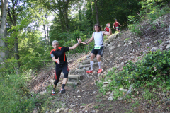 altmuehltrail_2014_20140707_1140516731