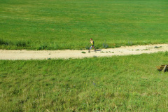 altmuehltrail_2014_20140707_1203098889