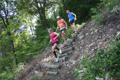 altmuehltrail_2014_20140707_1221488776