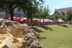 altmuehltrail_2014_20140707_1273971710