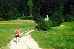 altmuehltrail_2014_20140707_1334382987