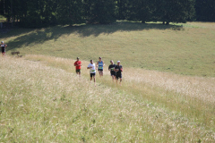 altmuehltrail_2014_20140707_1389845370