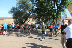 altmuehltrail_2014_20140707_1395259322