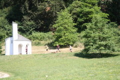 altmuehltrail_2014_20140707_1481092620