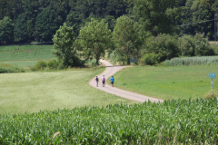 altmuehltrail_2014_20140707_1527225357