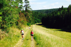 altmuehltrail_2014_20140707_1573997069
