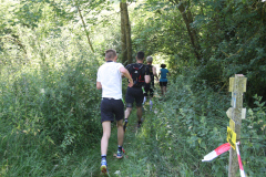 altmuehltrail_2014_20140707_1630259493