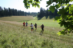 altmuehltrail_2014_20140707_1720605141