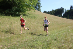 altmuehltrail_2014_20140707_1758176857