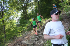 altmuehltrail_2014_20140707_1813317456